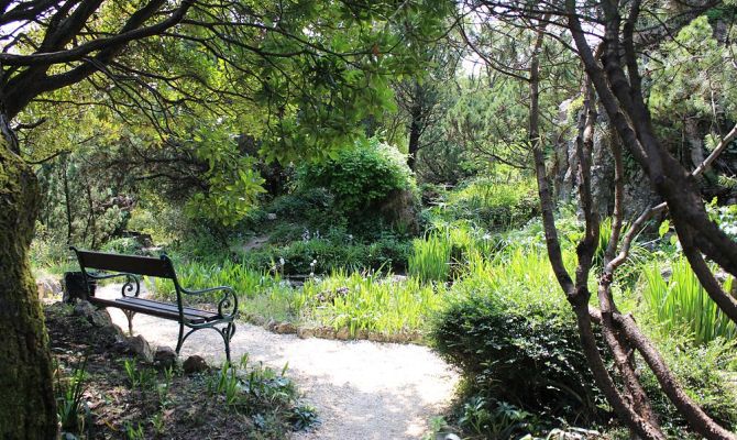 scorcio del giardino botanico