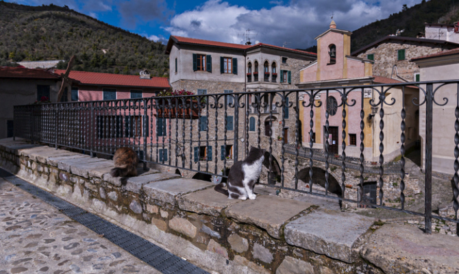 gatti di Apricale