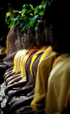 buddha