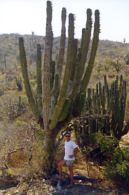 Baja California galleria immagini