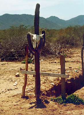 Baja California galleria immagini