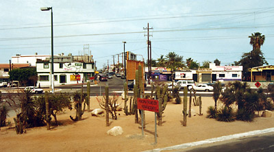 Baja California galleria immagini