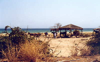 Baja California galleria immagini