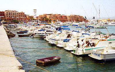 Baja California galleria immagini