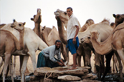 Mauritania