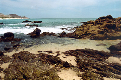 Baja California galleria immagini