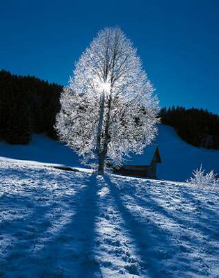 Svizzera