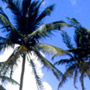 Barbados