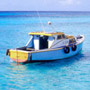 Barbados