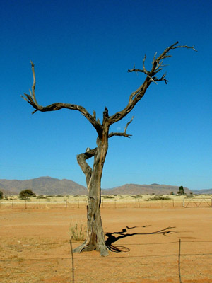 Namibia