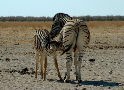 Namibia