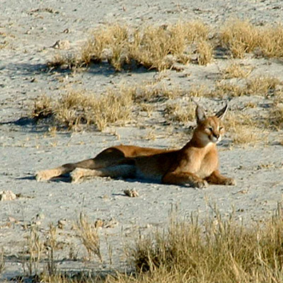 Namibia