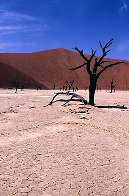 namibia gallery