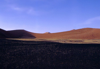 namibia gallery