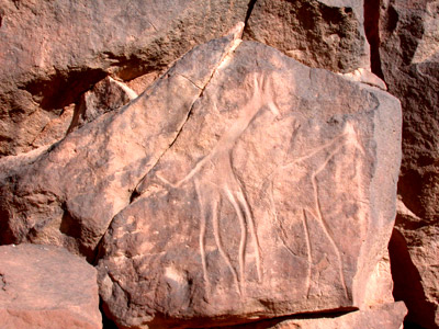 Libia