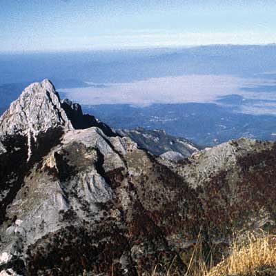 Elba