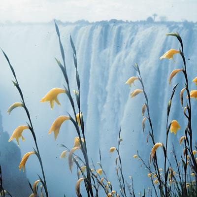 South Africa