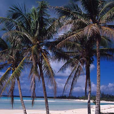 Bahamas