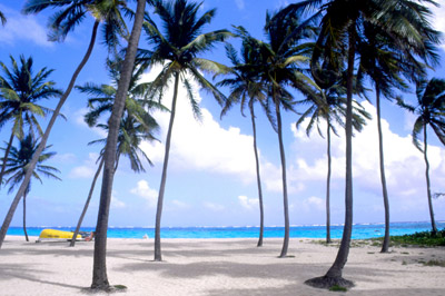 Spiagge mondo