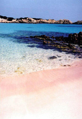 Spiagge