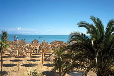 Spiagge