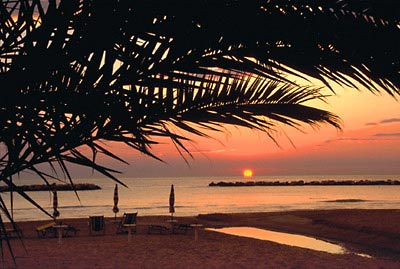 Spiagge