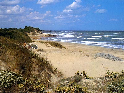 Spiagge