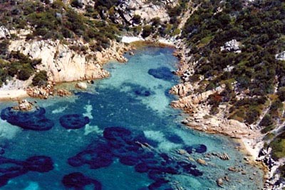 Spiagge