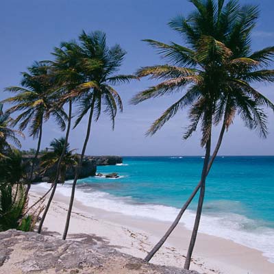 Spiagge mondo