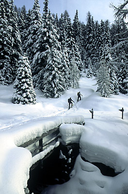 Trentino