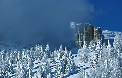 Trentino