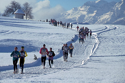 Trentino