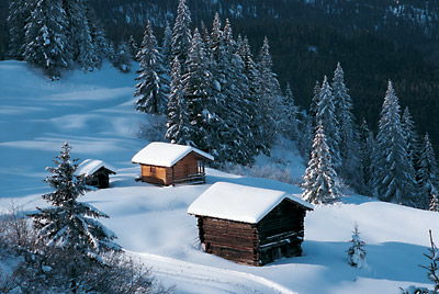 Trentino