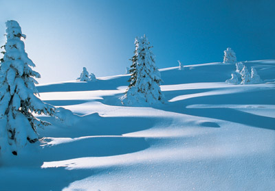 Trentino