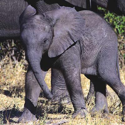 Kenya