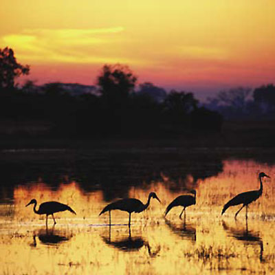 Kenya