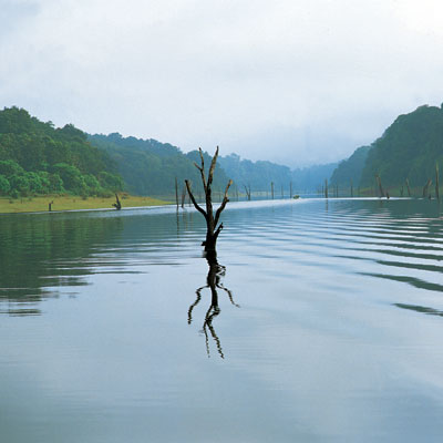 Kerala