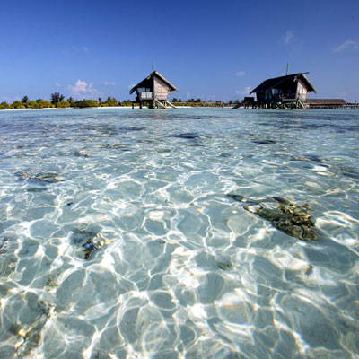 Maldive