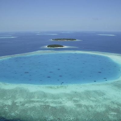 Maldive