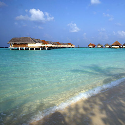 Maldive