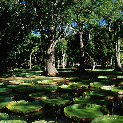 Mauritius