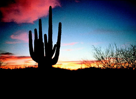 Arizona
