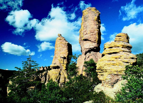 Arizona