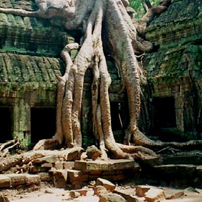 Angkor