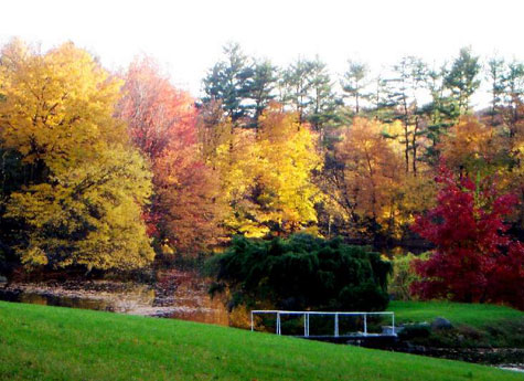 Connecticut