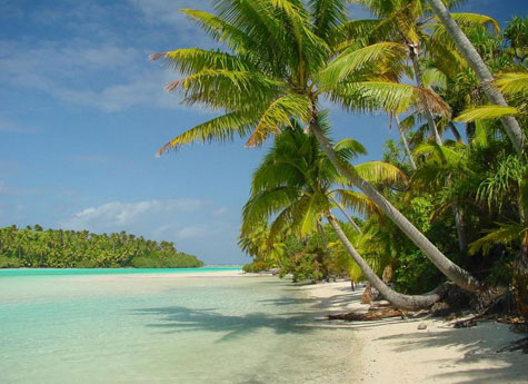 Isole Cook