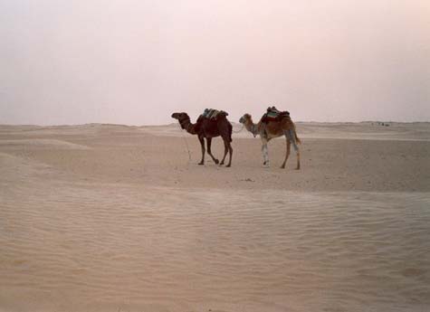 Tunisia
