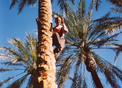 Tunisia