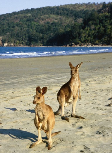 Queensland