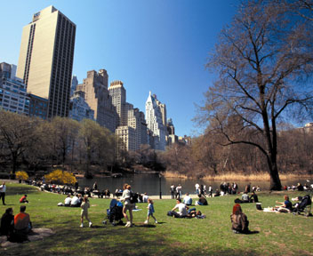 New York open space